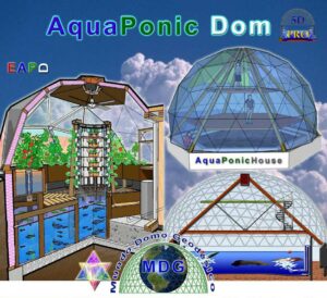 AquaPonic Dom