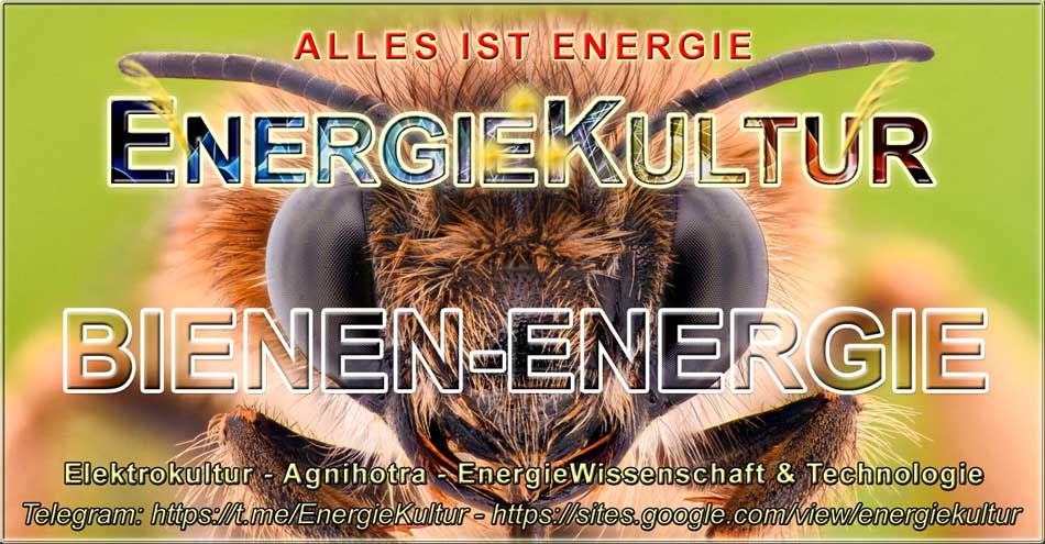 Bienen EnergieKultur