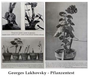  Georges Lakhovsky - Pflanzentest