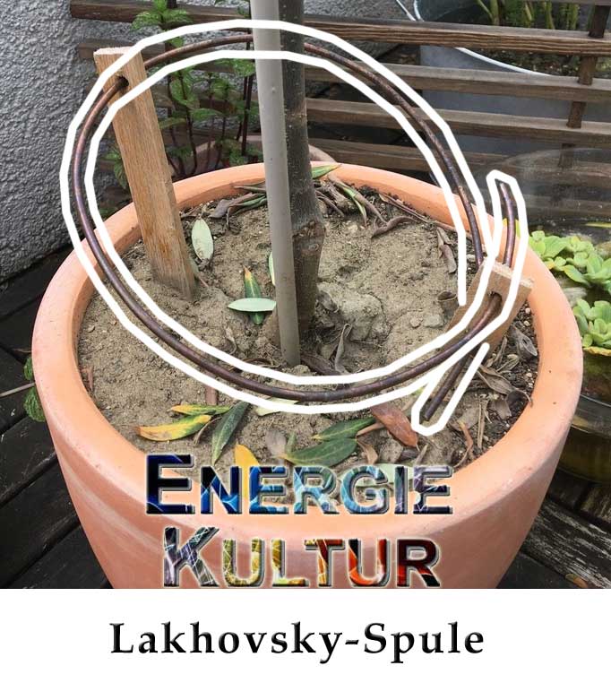 Lakhovsky-Spule ElektroKultur