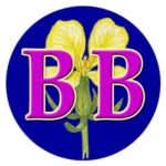 Logo Bachblüte Therapie