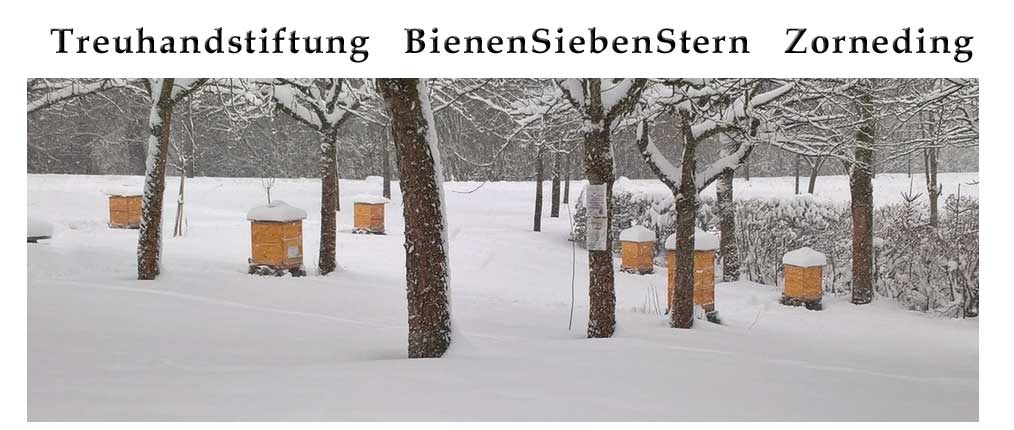 Bienen 7-Stern Stiftung